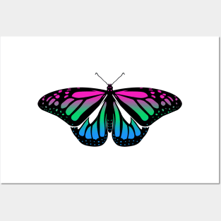 Polysexual Pride Butterfly Posters and Art